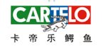 卡帝乐鳄鱼（CARTELO）：从新加坡到全球的休闲男装品牌传奇